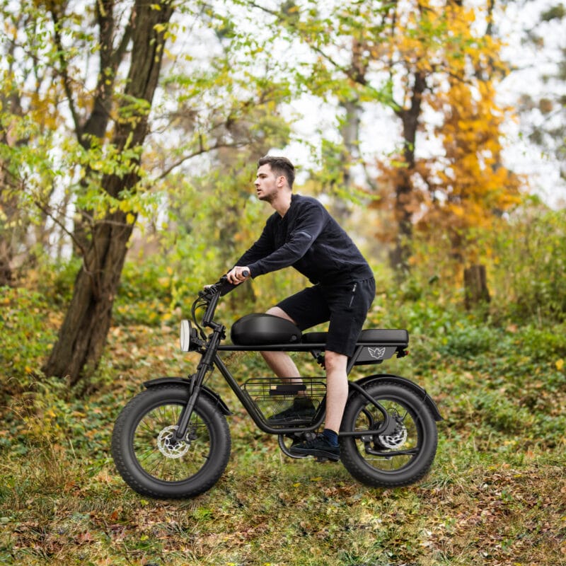 ⁦WIND HORSE D5 Electric Bike⁩ - الصورة ⁦5⁩