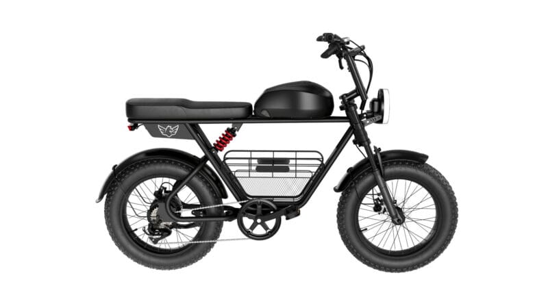 WIND HORSE D5 Electric Bike - Image 2