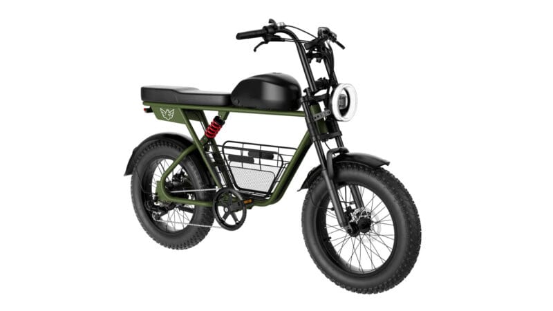 WIND HORSE D5 Electric Bike - Image 3