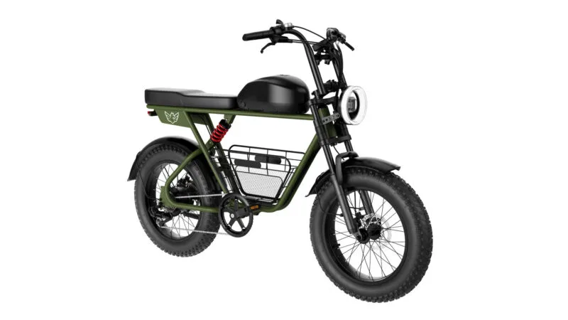 WIND HORSE D5 Electric Bike