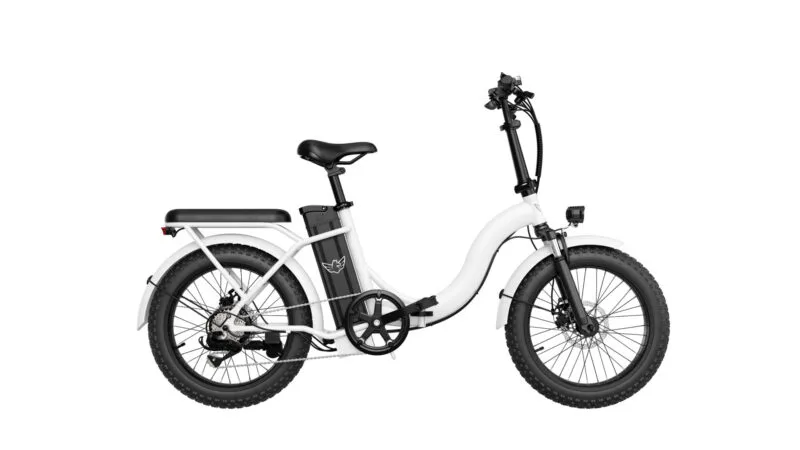 WIND HORSE W2 B Electric Bike