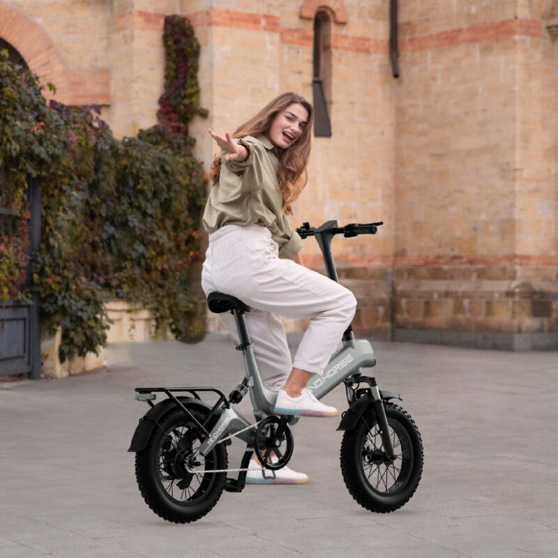 ⁦WINDHORSE WAVE W1 Electric Bike⁩ - الصورة ⁦10⁩