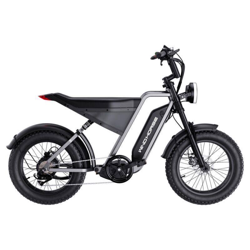 WIND HORSE D3 Electric Bike