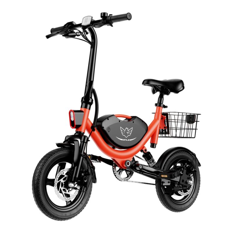 WIND HORSE W3 Folding Electric Bike