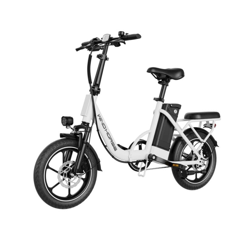 WIND HORSE W2 B Electric Bike