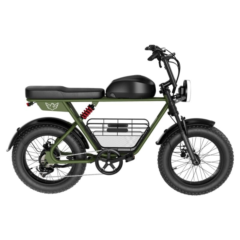 WIND HORSE D5 Electric Bike