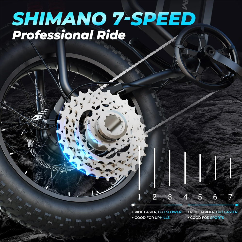 WINDHORSE V8 PRO Electric Bike 750W Motor, 48V 16.6AH Battery, 50KM/H Speed, 45KM Range, 20-Inch Fat Tires 3 WINDHORSE V8 PRO Electric Bike 750W Motor, 48V 16.6AH Battery, 50KM/H Speed, 45KM Range, 20-Inch Fat Tires - Image 3