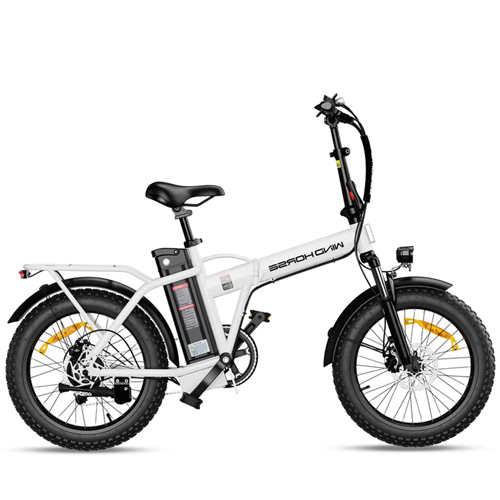 WINDHORSE W4A Electric Folding Bike 720W Motor, 48V 15.6Ah Removable Battery, 40KM/H Top Speed, 60-80KM Range, 20-Inch Tires