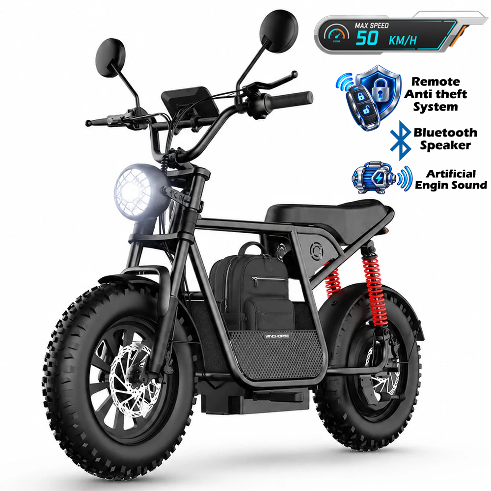 WINDHORSE D1 Electric Bike for Adults, 800W Motor (1500W Peak Power), 50KM/H Speed, 50KM Range, 48V 15Ah Removable Battery, 16 x 4 Inch Fat Tires, Remote Unlock, LCD Display, Bluetooth Speaker, Artificial Engine Sound, Anti Theft System